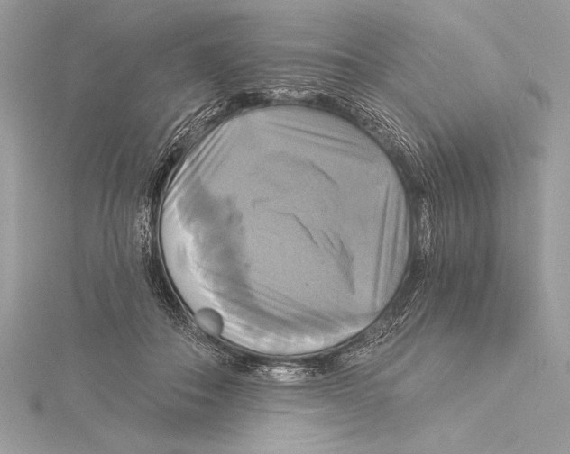 X0000115330506200911301530