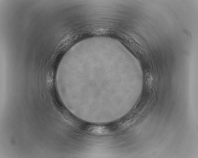 X0000115330507200911301530