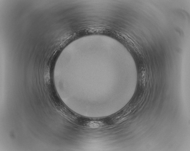 X0000115330508200911301530