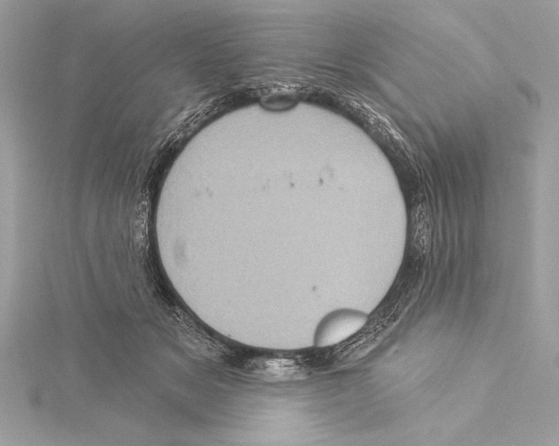 X0000115330509200911301530