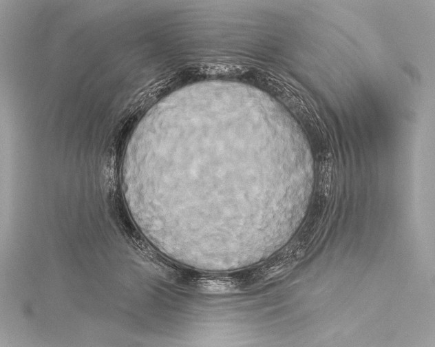 X0000115330510200911301530