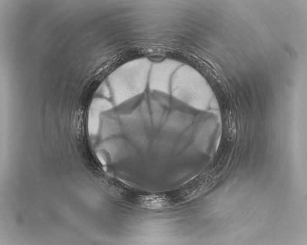 X0000115330511200911301530