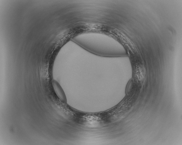 X0000115330512200911301530