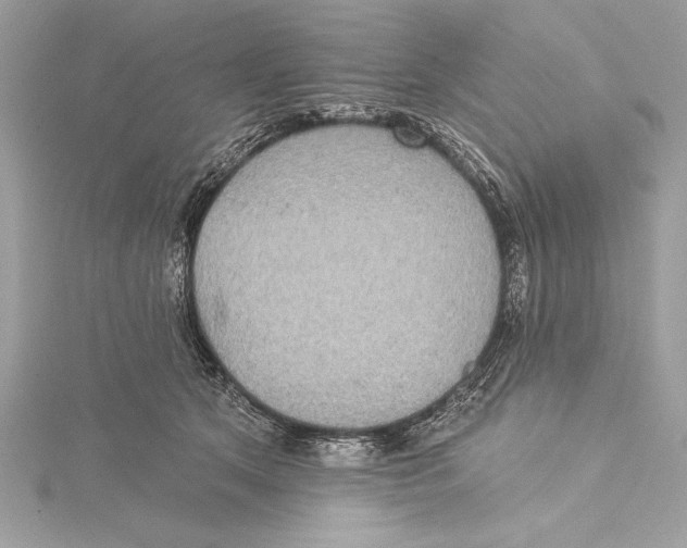 X0000115330513200911301530