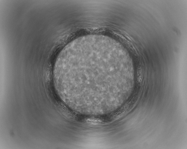 X0000115330515200911301530