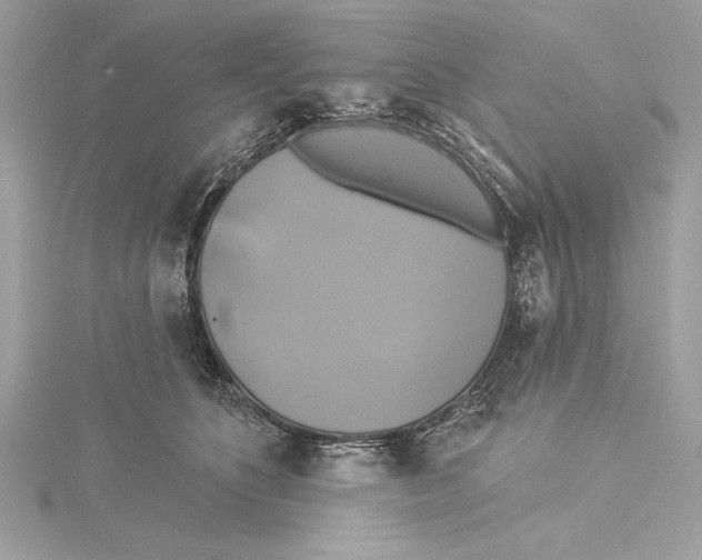 X0000115330516200911301530