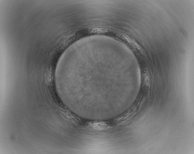 X0000115330517200911301530