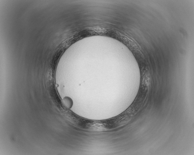 X0000115330518200911301530