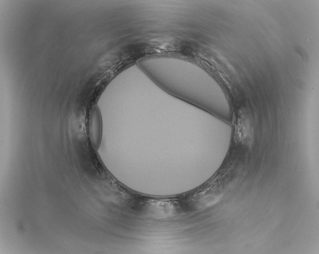 X0000115330520200911301530