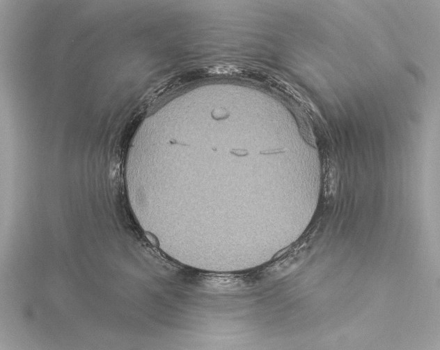 X0000115330521200911301530