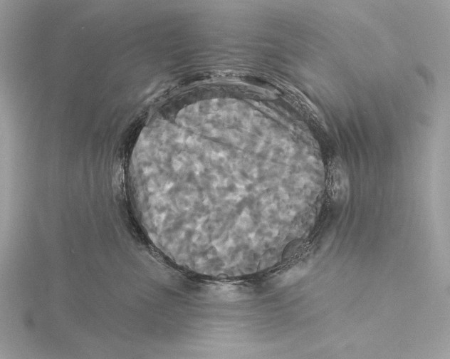 X0000115330523200911301530