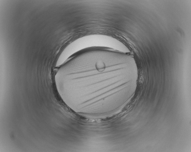 X0000115330524200911301530