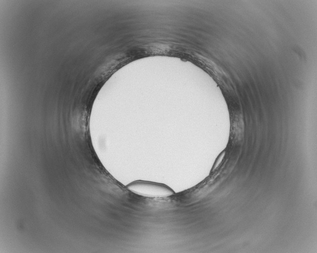 X0000115330525200911301530