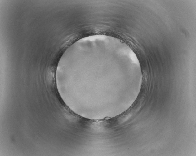 X0000115330527200911301530