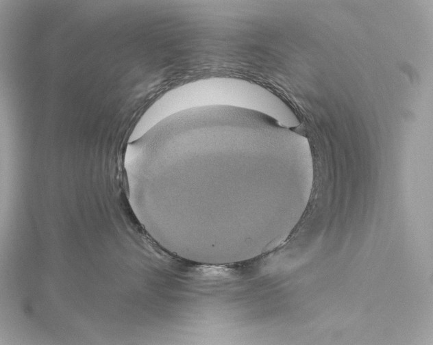 X0000115330528200911301530