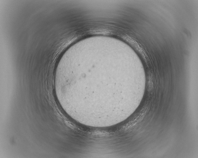 X0000115330529200911301529