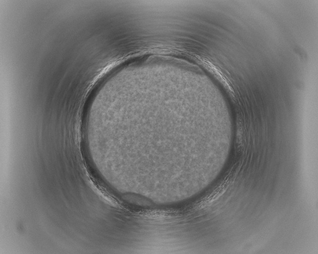 X0000115330530200911301529