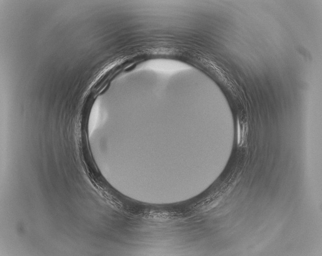 X0000115330531200911301529