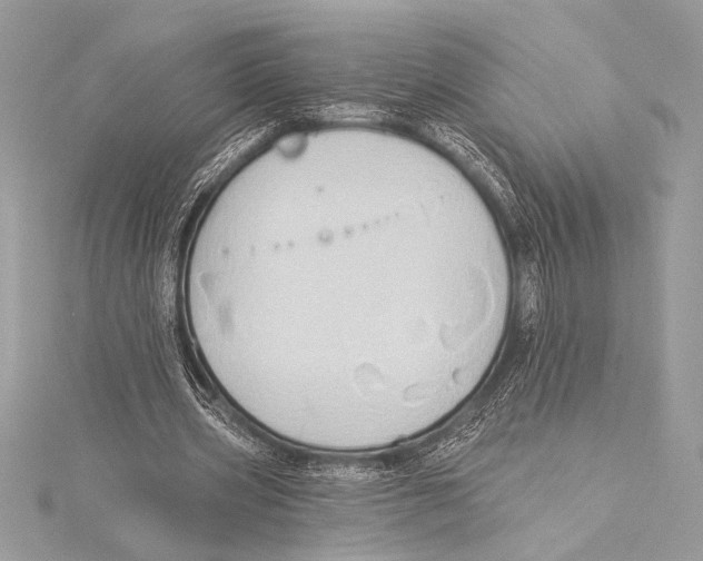 X0000115330533200911301529