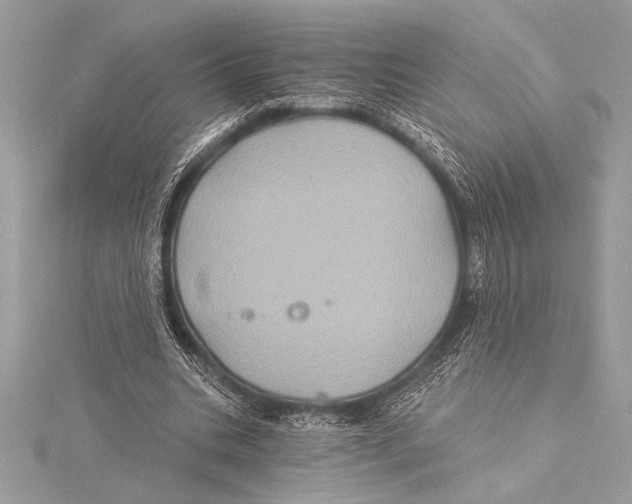 X0000115330535200911301529