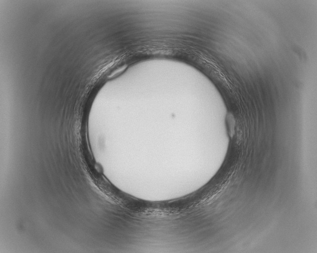 X0000115330538200911301529