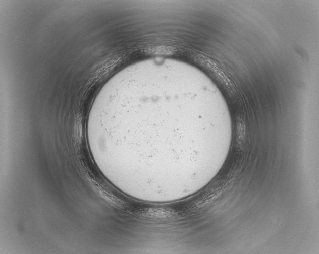 X0000115330541200911301529