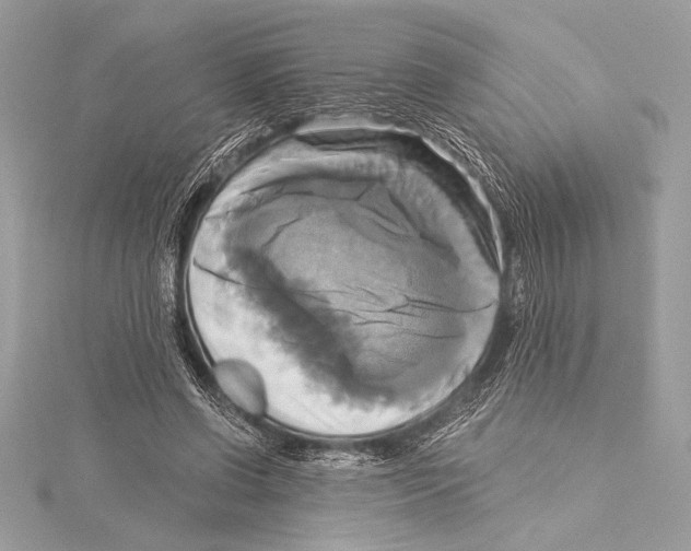 X0000115330542200911301529