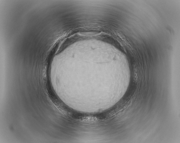 X0000115330543200911301529