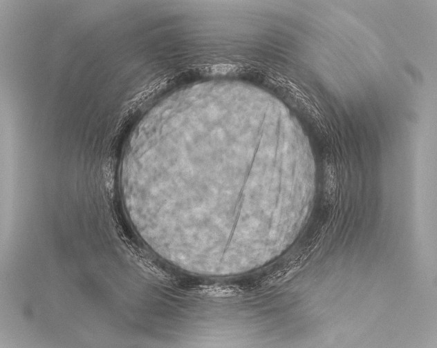 X0000115330545200911301529