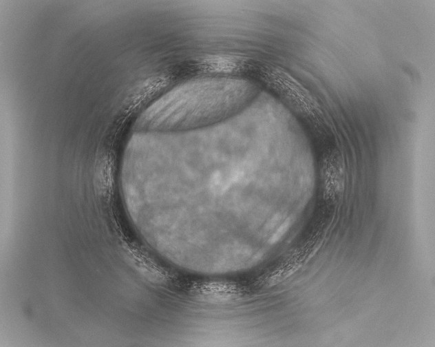 X0000115330546200911301529