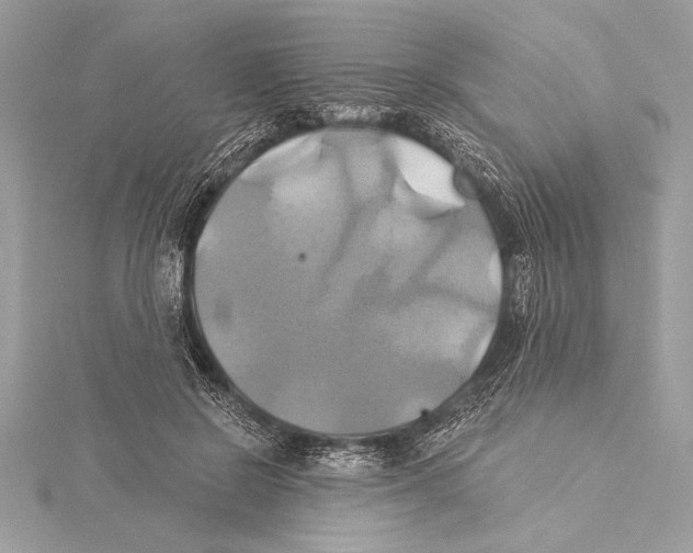 X0000115330550200911301529