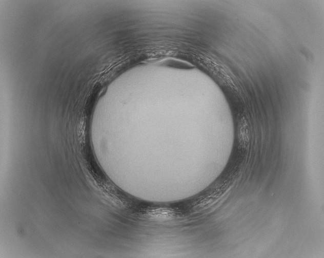 X0000115330551200911301529