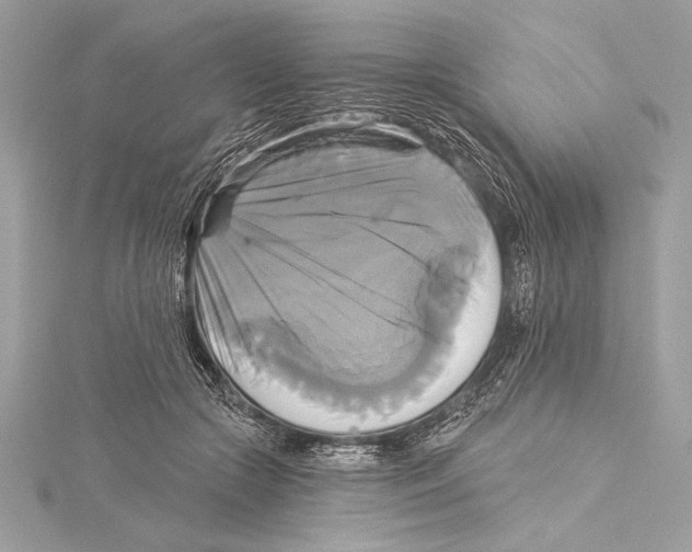 X0000115330553200911301529