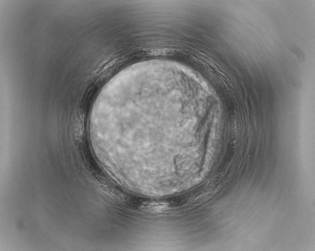 X0000115330554200911301529