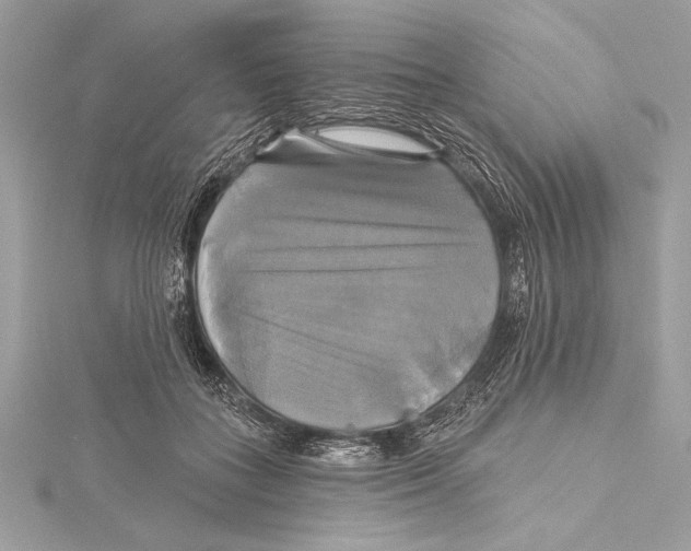 X0000115330555200911301529