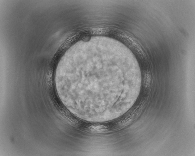 X0000115330557200911301529