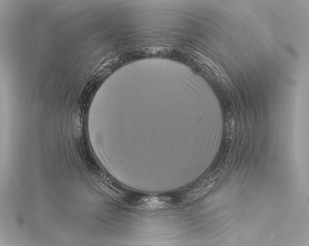 X0000115330558200911301529