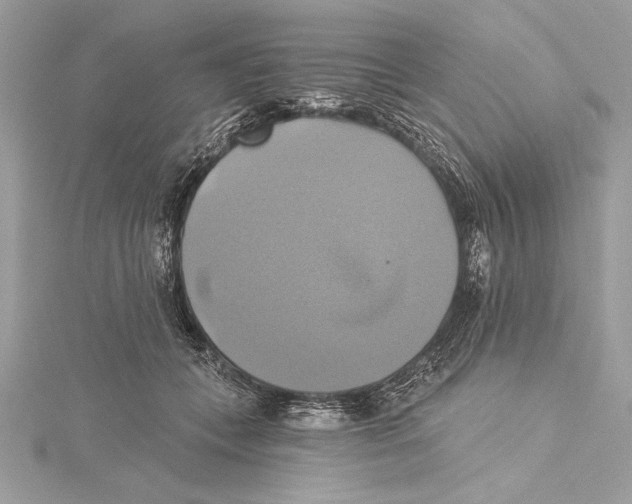 X0000115330559200911301529