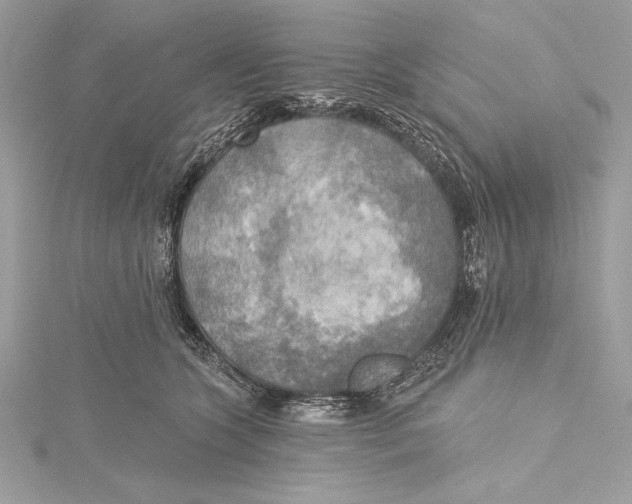 X0000115330563200911301530