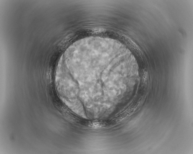 X0000115330565200911301530