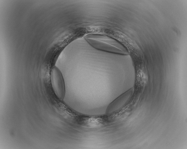 X0000115330566200911301530