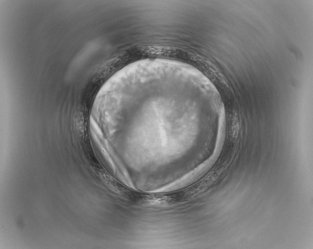 X0000115330569200911301530