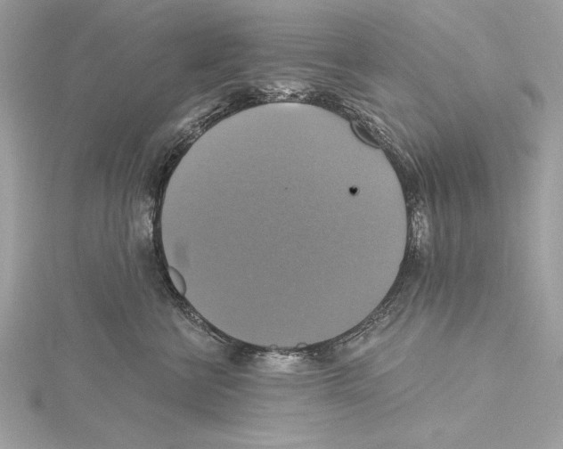 X0000115330570200911301530