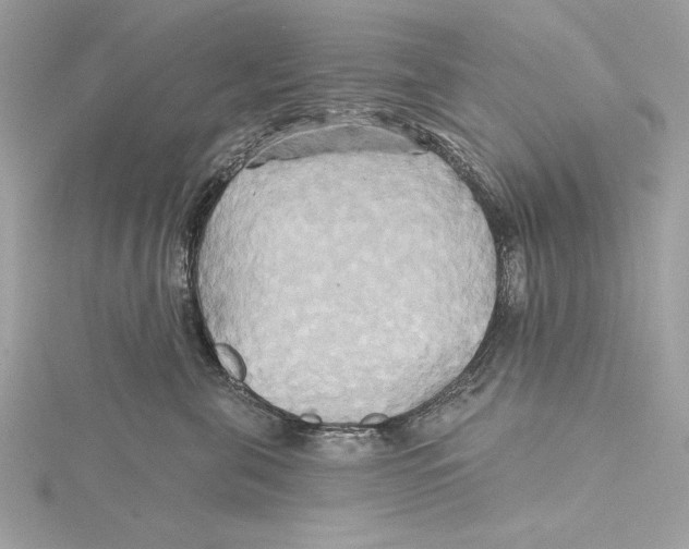 X0000115330571200911301530