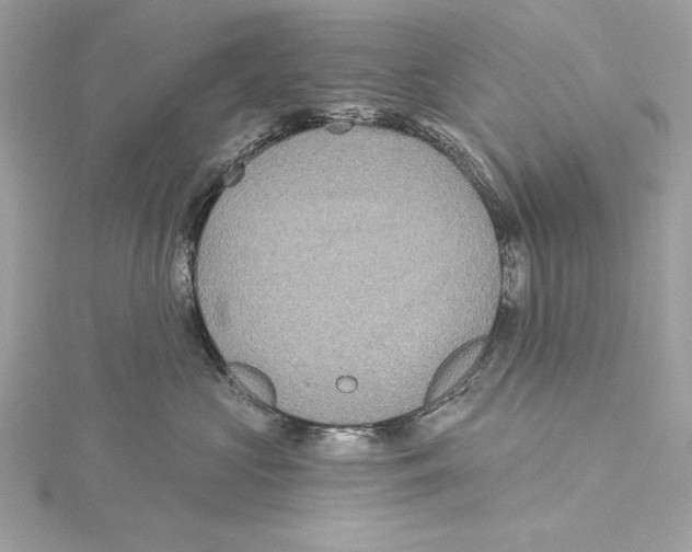 X0000115330573200911301530