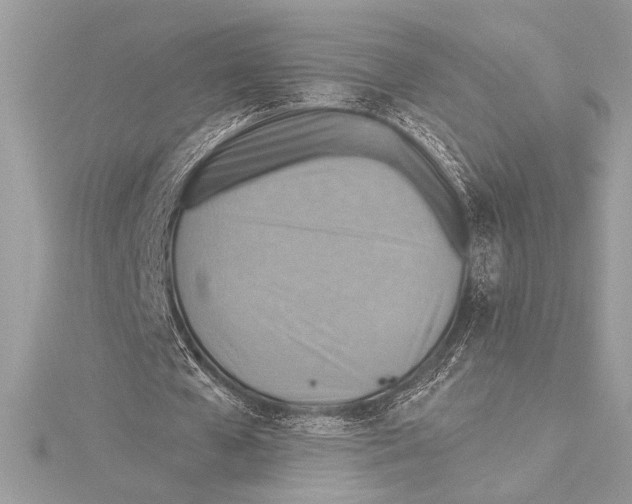 X0000115330577200911301529