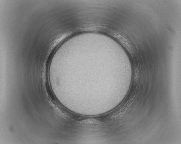 X0000115330578200911301529