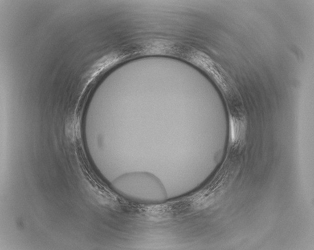 X0000115330579200911301529