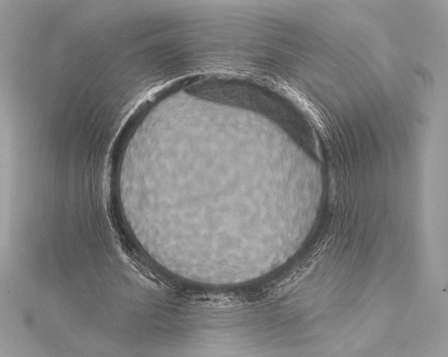 X0000115330580200911301529