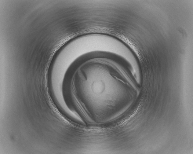 X0000115330581200911301529